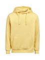 Heren Hooded Sweater Clique Regular Fit Ray